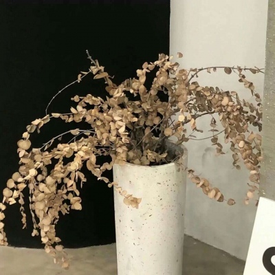 龙泉驿福瑞交流群